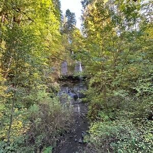 Meet your Posher, C. Michael